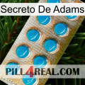 Adams Secret new09